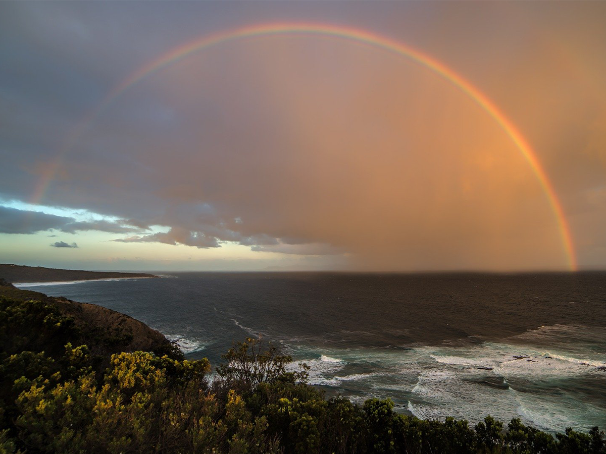 Which statements exemplify the hostility sometimes found from non-theist evolutionists toward religion?