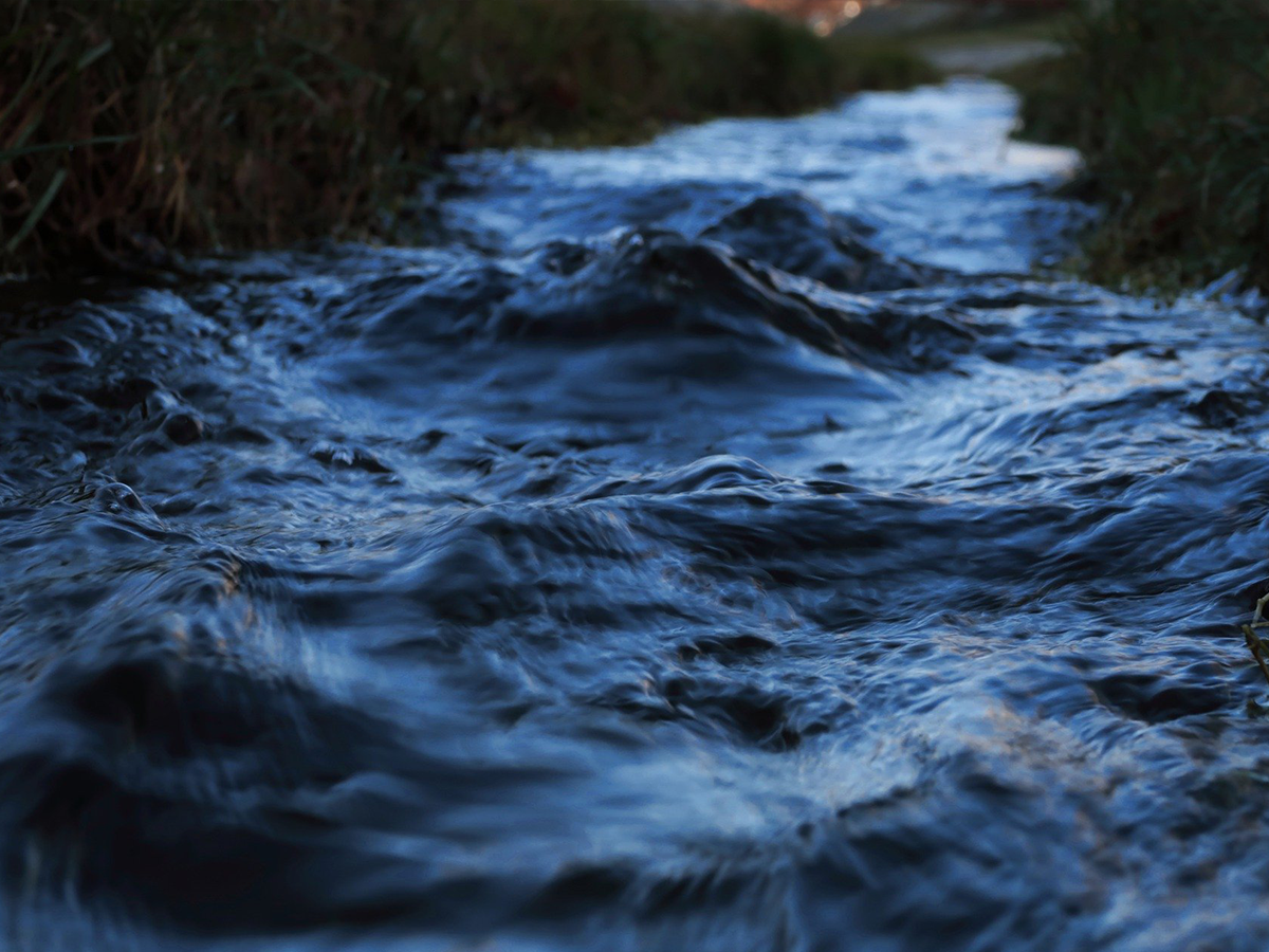 Tại sao Islam cấm quan hệ tình dục ngoài hôn nhân?