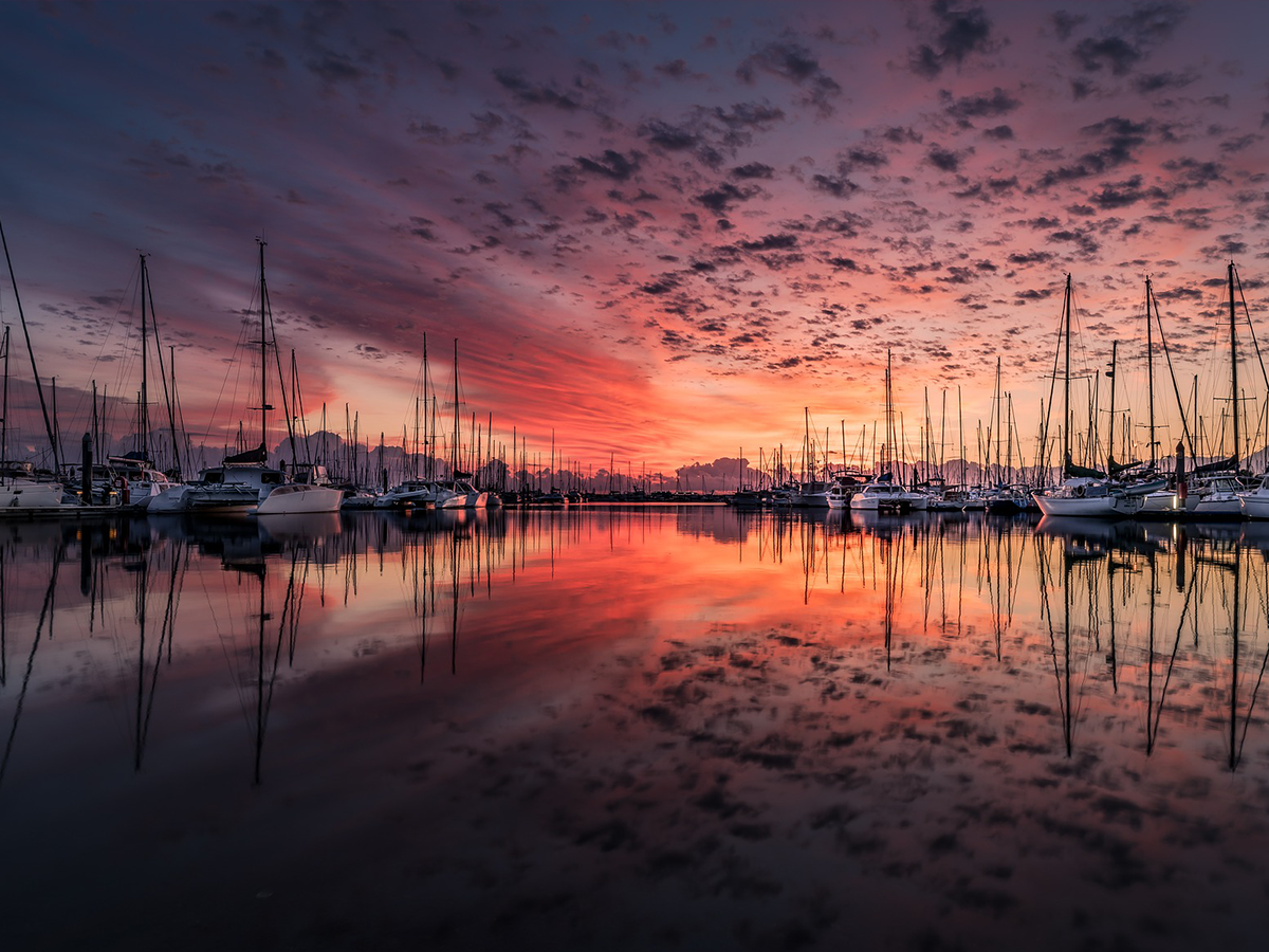 "Which Fallacy in the Empirical Scientific Approach to Evolution does Intelligent Design Address?