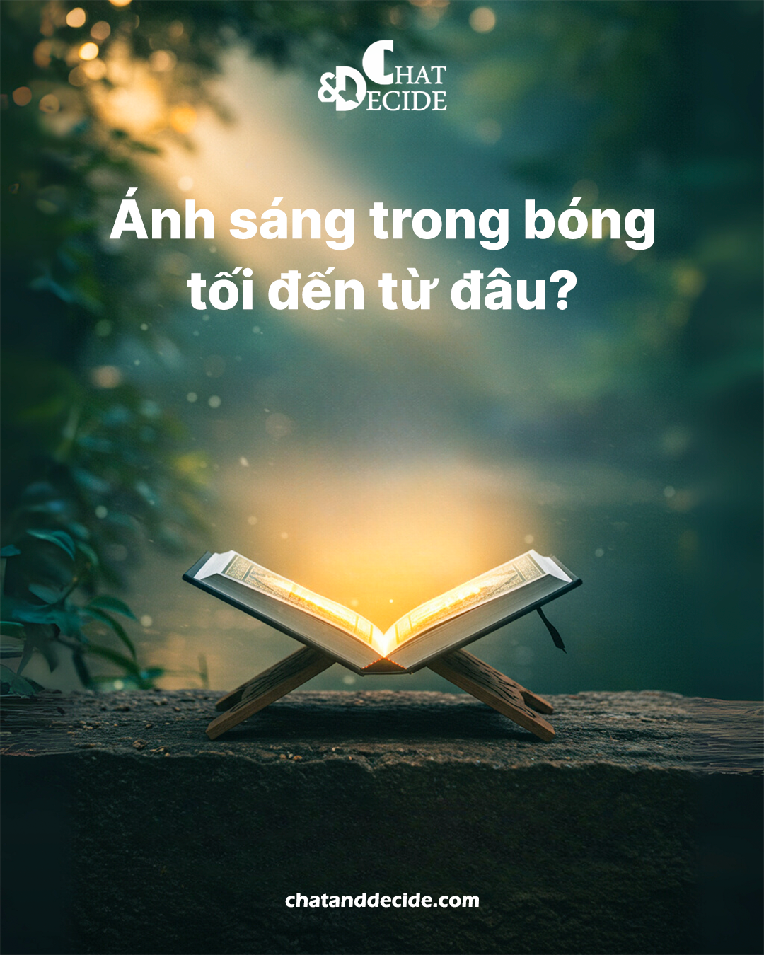 "Ánh sáng trong bóng tối đến từ đâu? "