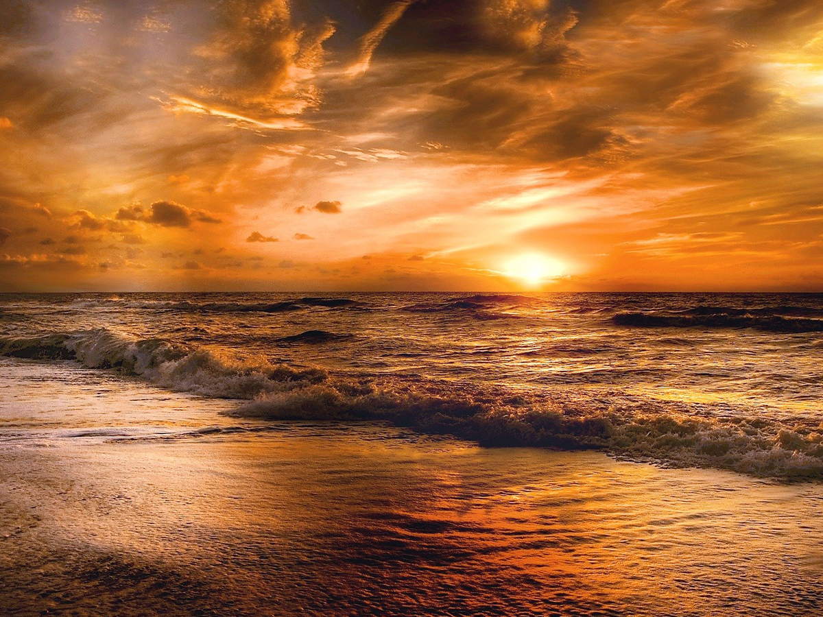 Ano ang opinyon ng Islam sa teorya ni Darwin?