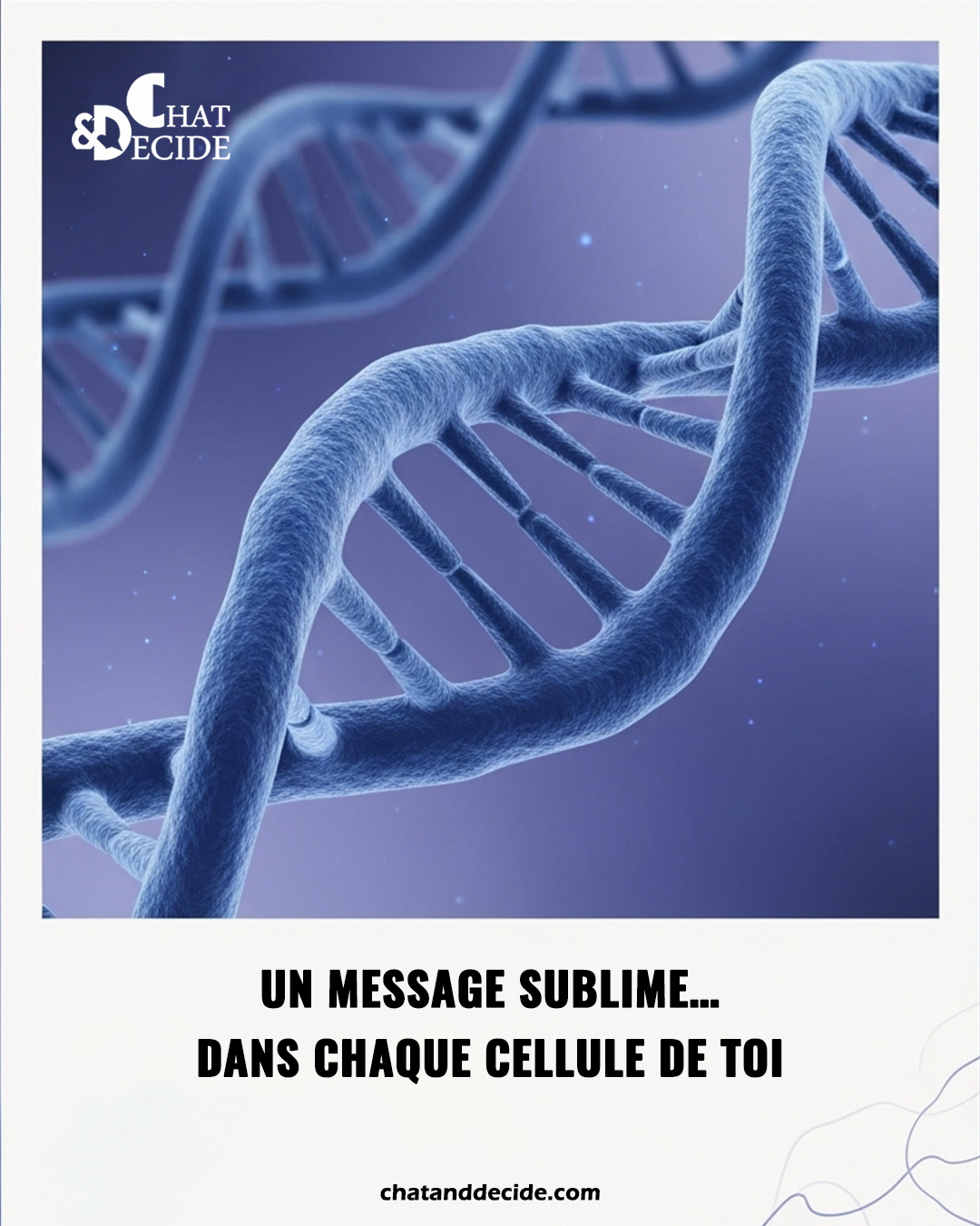 Un message sublime… dans chaque cellule de toi