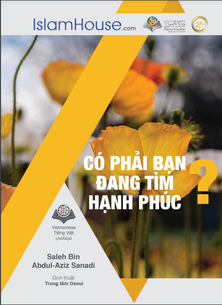 CÓ PHẢI BẠN ĐANG TÌM NIỀM HẠNH PHÚC?