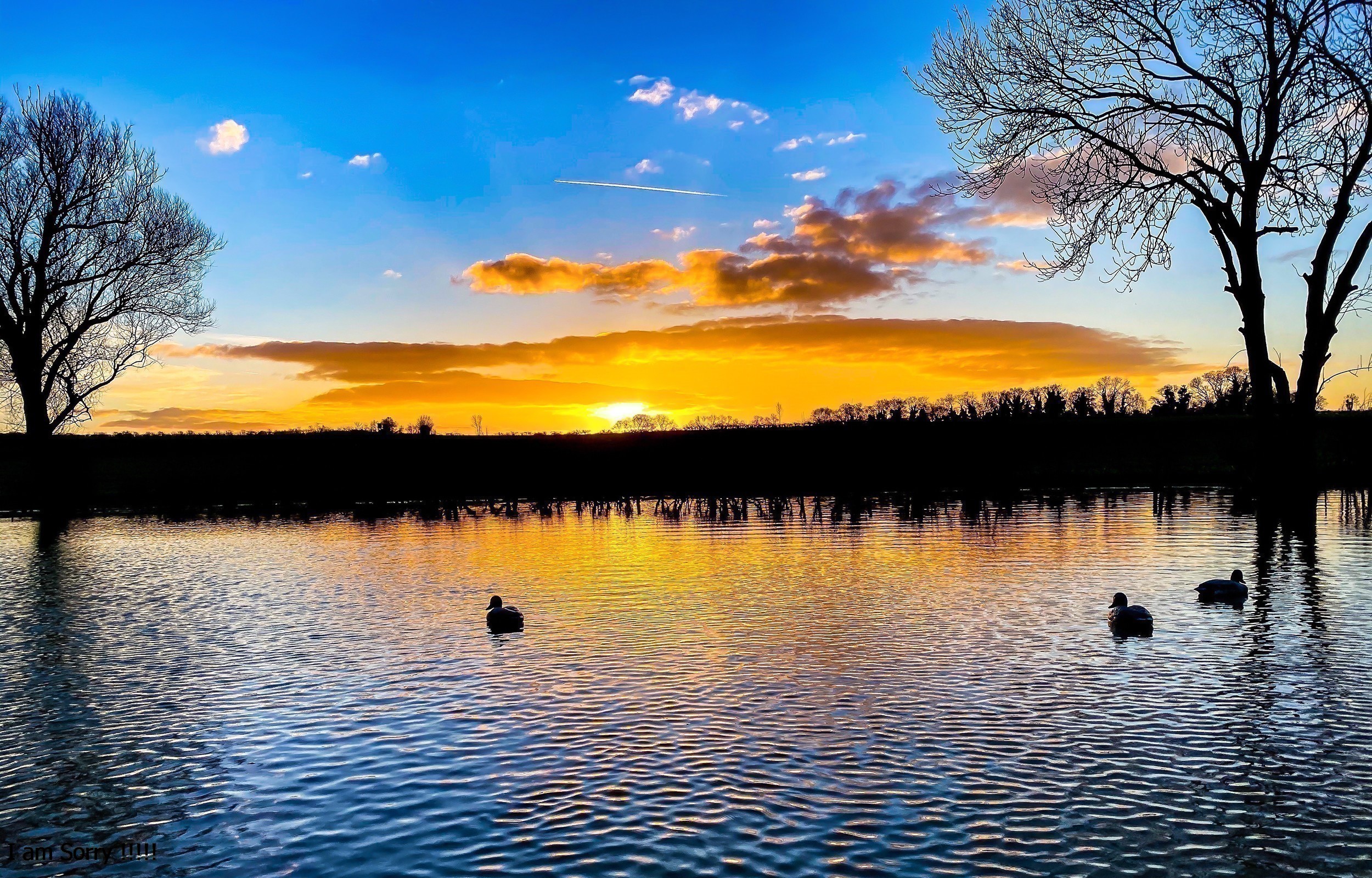 How to say Shahadah?