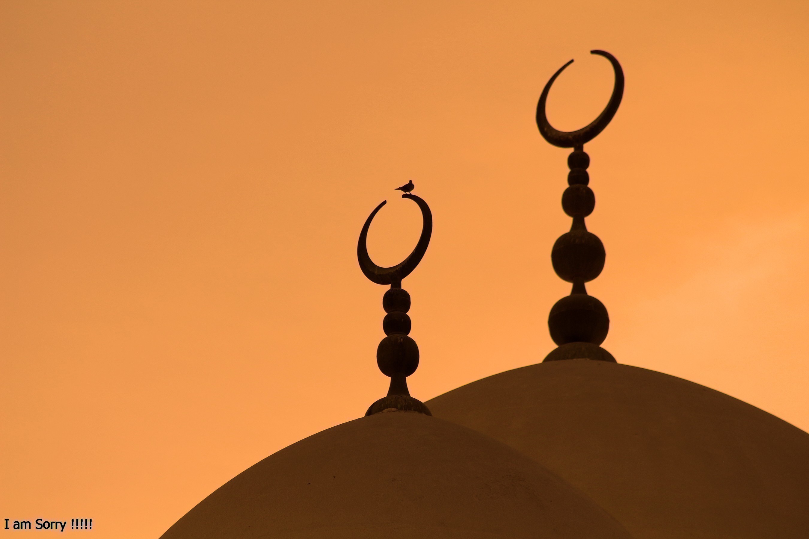 What leads me to submit to Allah?